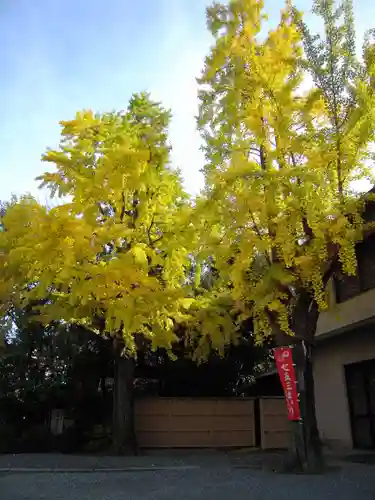 玉造稲荷神社の自然