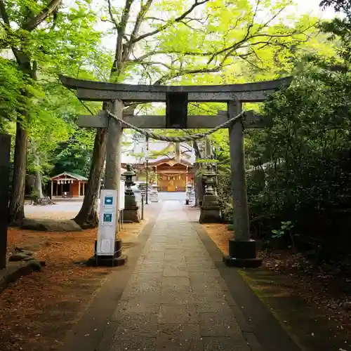 小金井神社の鳥居