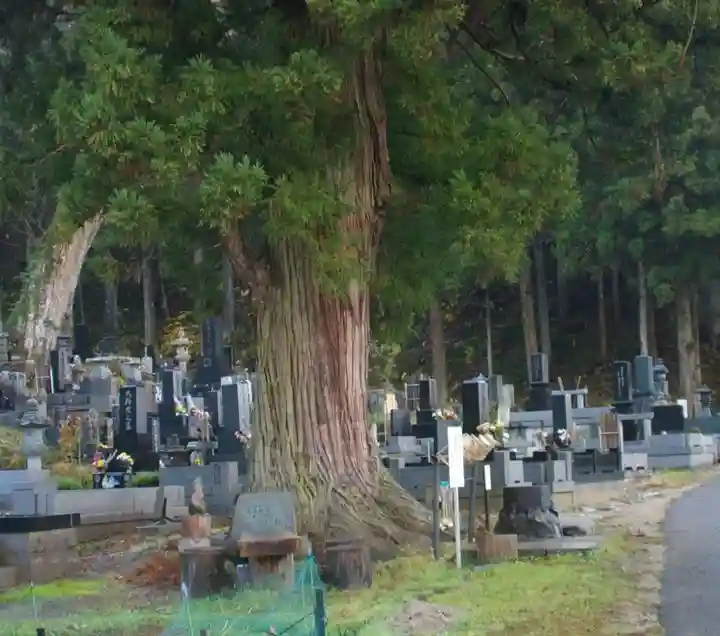長泉寺(福島県)