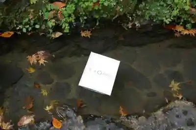 貴船神社のおみくじ