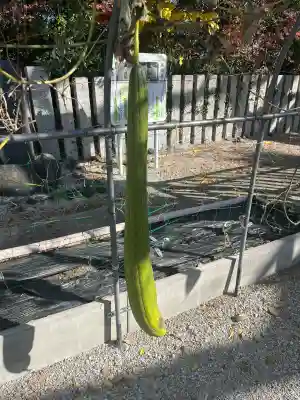 曩祖八幡宮(福岡県)