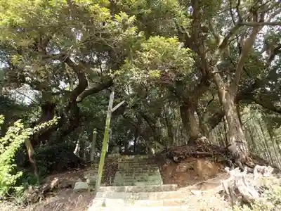 濱殿神社の自然