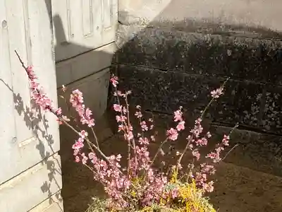 三津厳島神社の手水舎