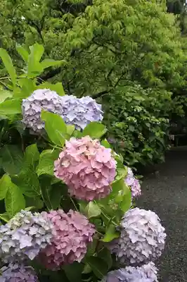 梅宮大社(京都府)