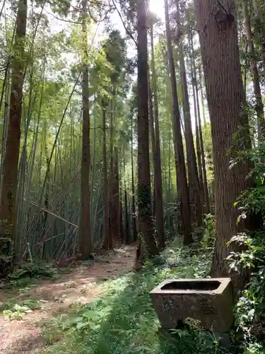 船木神社の自然