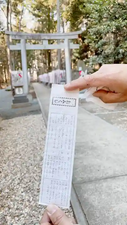 豊川閣 妙厳寺のおみくじ