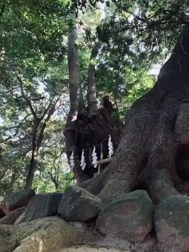 住吉神社(山口県)