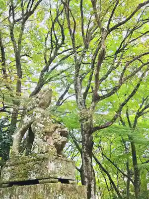 鰐淵寺(島根県)