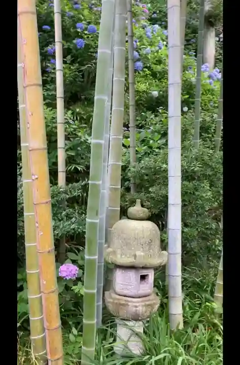長谷寺(神奈川県)