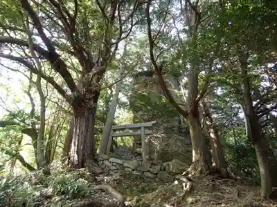 立岩神社（山方比古神社境内社）の自然