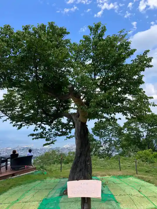 小樽天狗山神社(北海道)