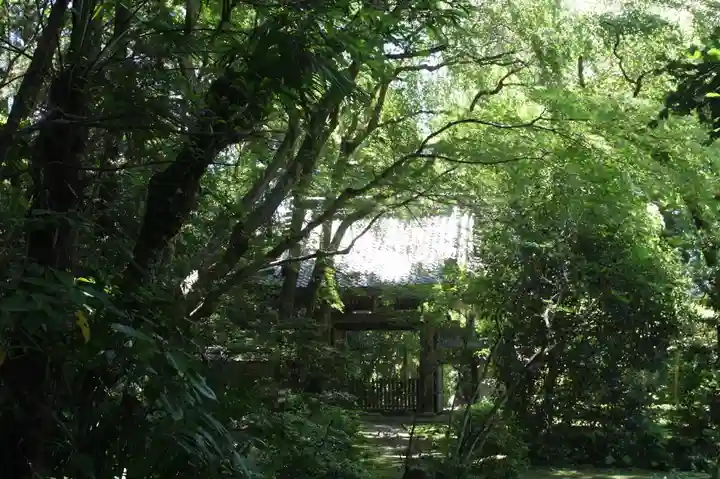 龍潭寺(滋賀県)