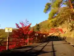 足利織姫神社の自然