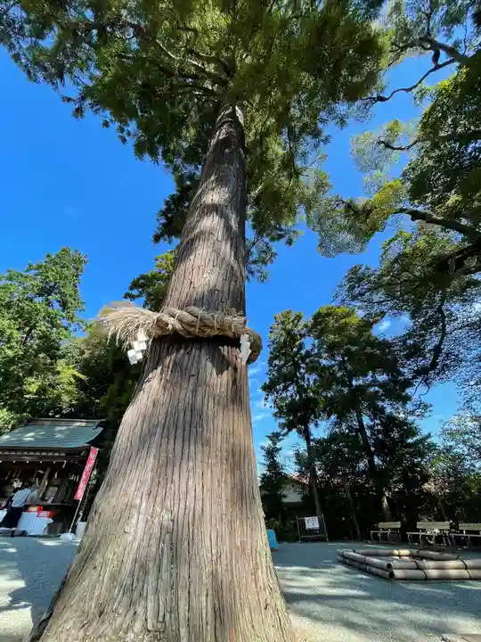 比々多神社の自然