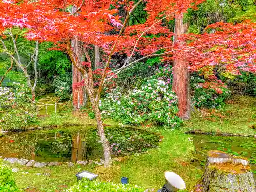 室生寺のその他建物