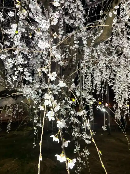 八幡社の{uncategorized: "未分類", other: "その他", undefined: "問題あり", building: "その他建物", grave: "お墓", sacred_gate: "鳥居", guardian: "狛犬", statue: "像", buddha: "仏像", history: "歴史", nature: "自然", garden: "庭園", animal: "動物", pagoda: "塔", temizu: "手水舎", mountain_gate: "山門・神門", sanctuary: "本殿・本堂", subordinate: "末社・摂社", art: "芸術", scenery: "景色", jizo: "地蔵", ema: "絵馬", goshuin: "御朱印", omikuji: "おみくじ", items: "授与品その他", amulet: "お守り", goshuincho: "御朱印帳", eats: "食事", festival: "お祭り", votive_dance: "神楽", shichigosan: "七五三参", wedding: "結婚式", experience: "体験その他", initially: "初詣", around: "周辺", anti_infection: "感染症対策"}