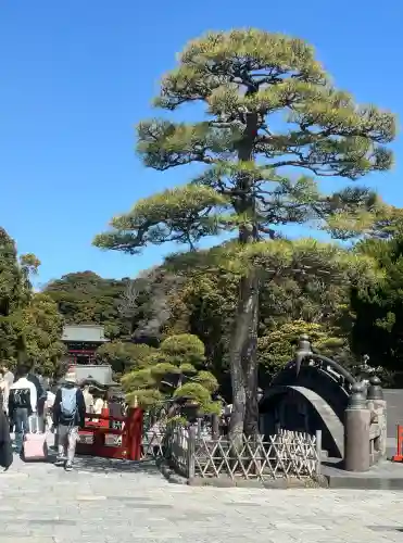 鶴岡八幡宮の{uncategorized: "未分類", other: "その他", undefined: "問題あり", building: "その他建物", grave: "お墓", sacred_gate: "鳥居", guardian: "狛犬", statue: "像", buddha: "仏像", history: "歴史", nature: "自然", garden: "庭園", animal: "動物", pagoda: "塔", temizu: "手水舎", mountain_gate: "山門・神門", sanctuary: "本殿・本堂", subordinate: "末社・摂社", art: "芸術", scenery: "景色", jizo: "地蔵", ema: "絵馬", goshuin: "御朱印", omikuji: "おみくじ", items: "授与品その他", amulet: "お守り", goshuincho: "御朱印帳", eats: "食事", festival: "お祭り", votive_dance: "神楽", shichigosan: "七五三参", wedding: "結婚式", experience: "体験その他", initially: "初詣", around: "周辺", anti_infection: "感染症対策"}