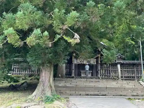 諏訪大社上社前宮の本殿・本堂