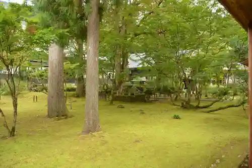 雲洞庵の庭園