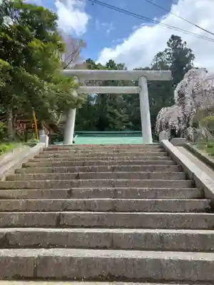 八坂神社の鳥居