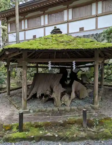 大神神社(奈良県)