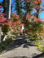 八幡宮(茨城県)