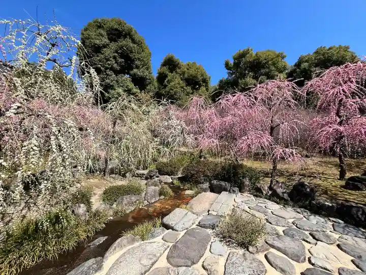 城南宮(京都府)