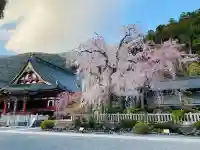 久遠寺の{uncategorized: "未分類", other: "その他", undefined: "問題あり", building: "その他建物", grave: "お墓", sacred_gate: "鳥居", guardian: "狛犬", statue: "像", buddha: "仏像", history: "歴史", nature: "自然", garden: "庭園", animal: "動物", pagoda: "塔", temizu: "手水舎", mountain_gate: "山門・神門", sanctuary: "本殿・本堂", subordinate: "末社・摂社", art: "芸術", scenery: "景色", jizo: "地蔵", ema: "絵馬", goshuin: "御朱印", omikuji: "おみくじ", items: "授与品その他", amulet: "お守り", goshuincho: "御朱印帳", eats: "食事", festival: "お祭り", votive_dance: "神楽", shichigosan: "七五三参", wedding: "結婚式", experience: "体験その他", initially: "初詣", around: "周辺", anti_infection: "感染症対策"}