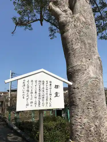 西寒多神社の歴史