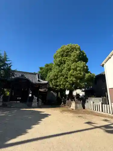 桑原神社(兵庫県)