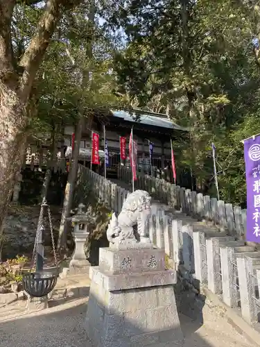 敢國神社の狛犬