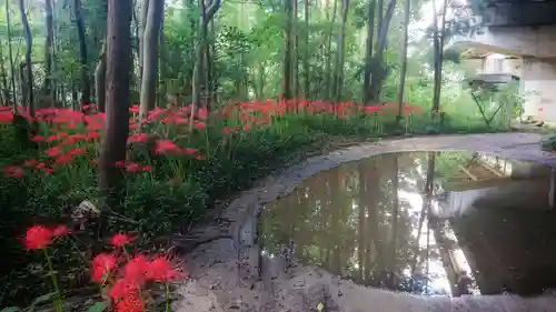 龍宮之宮のその他建物