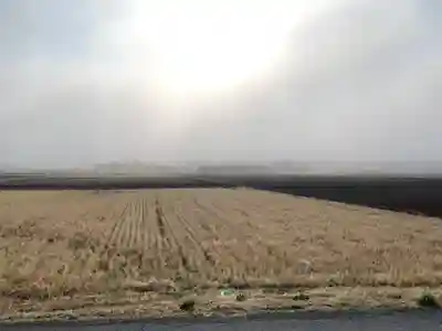 子野神社の周辺