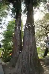 聖神社(埼玉県)