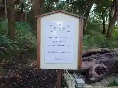 泉神社(茨城県)