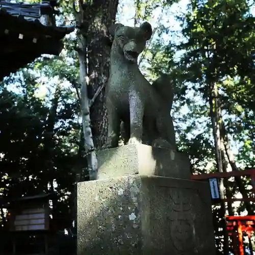開運招福 飯玉神社の狛犬