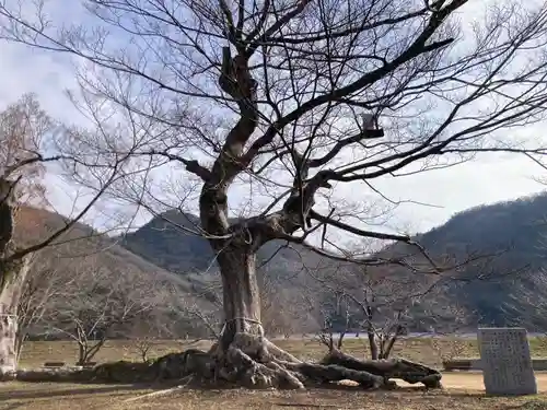 新宮八幡神社(兵庫県)
