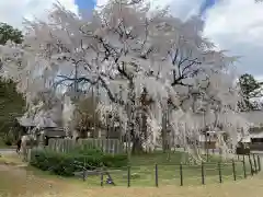 足羽神社の庭園