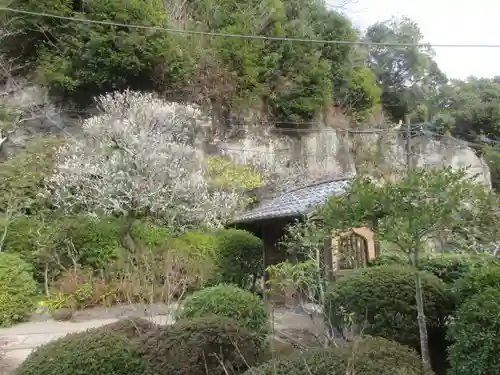 海蔵寺の景色