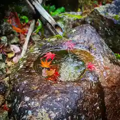 古峯神社の建物その他