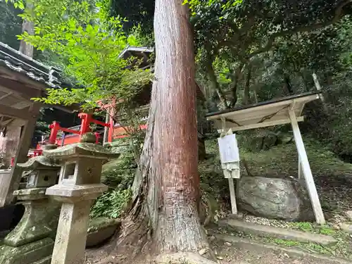 戸隠神社(奈良県)