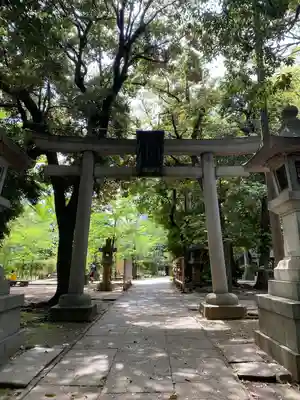赤坂氷川神社の鳥居