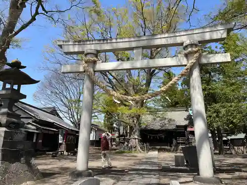 白鳥神社の鳥居