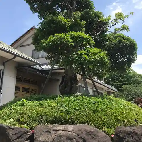 本妙寺の本殿・本堂