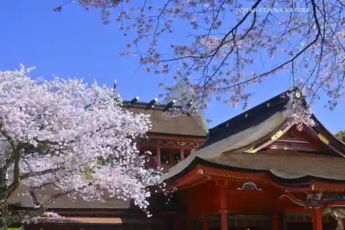 富士山本宮浅間大社の建物その他