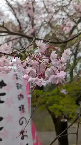 松ヶ崎大黒天 妙圓寺（妙円寺）(京都府)