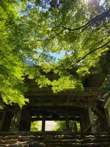 高源寺の山門