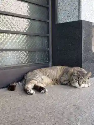 白金氷川神社(東京都)