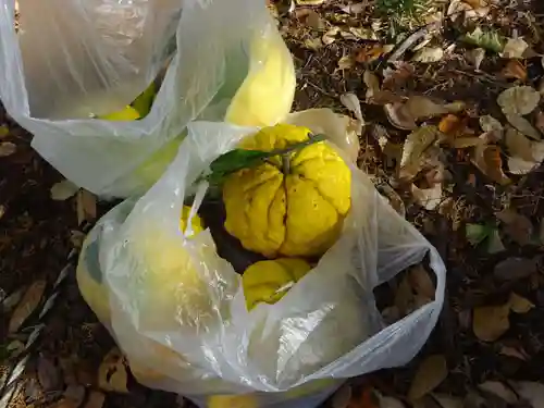 弥生神社(神奈川県)