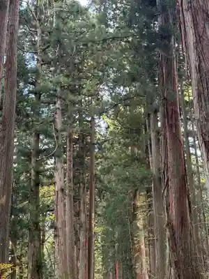 戸隠神社九頭龍社(長野県)